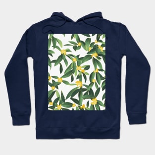 Loquat medlar flower in Autumn // pattern // dark background Hoodie